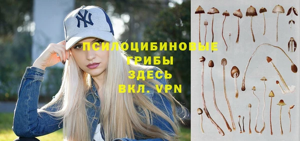 молекула духа Ростов
