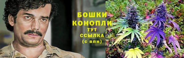 ECSTASY Рославль