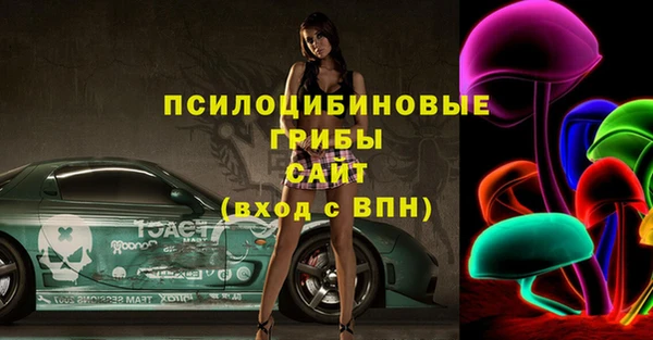 молекула духа Ростов