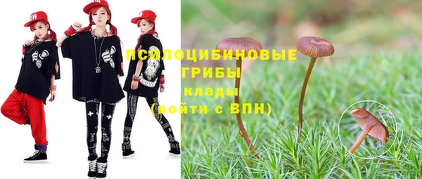 молекула духа Ростов